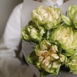 Premium розы Veggie 7шт