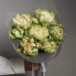 Premium розы Veggie 7шт