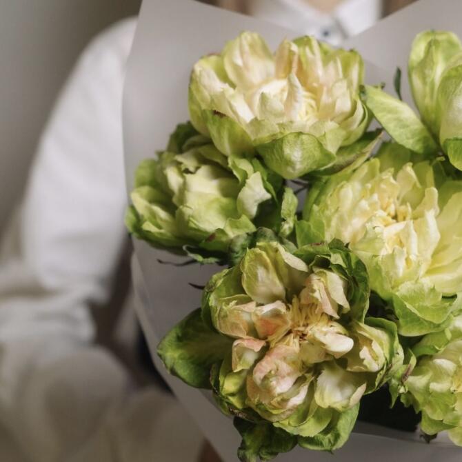 Premium розы Veggie 7шт