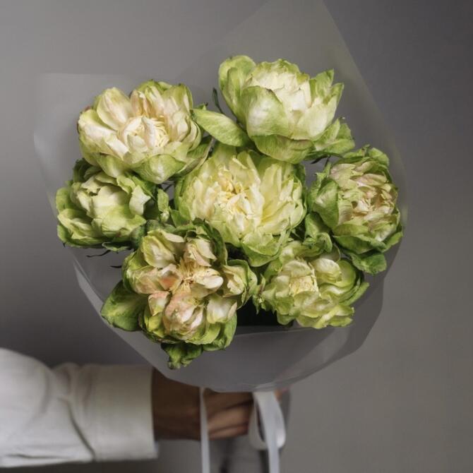 Premium розы Veggie 7шт