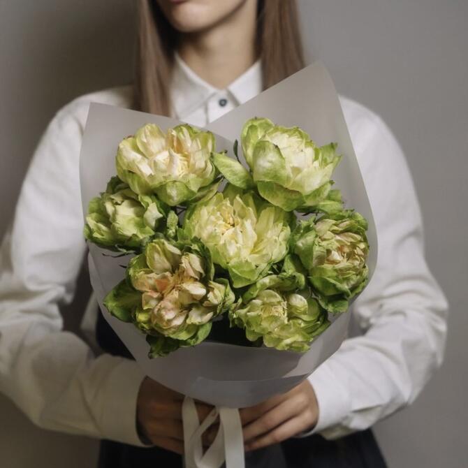 Premium розы Veggie 7шт