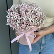 Гипсофила в коробке PINK