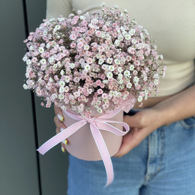 Гипсофила в коробке PINK