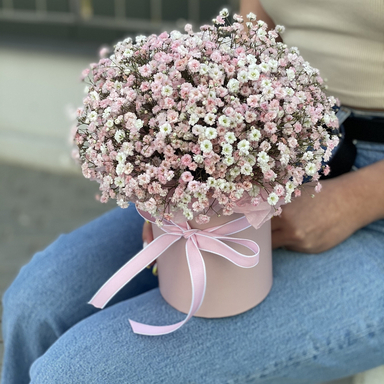 Гипсофила в коробке PINK