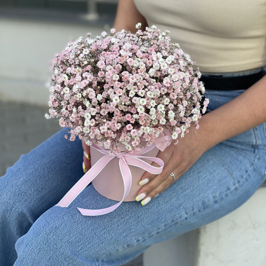 Гипсофила в коробке PINK