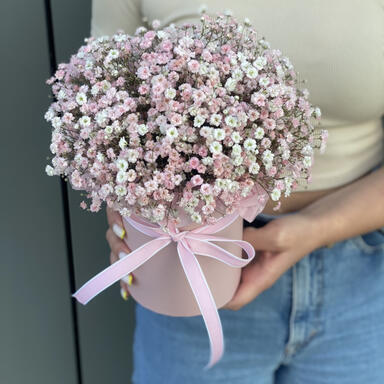 Гипсофила в коробке PINK