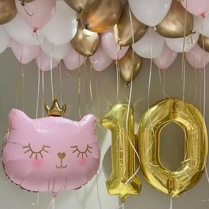 Сет Шаров «Маленькой принцессе»