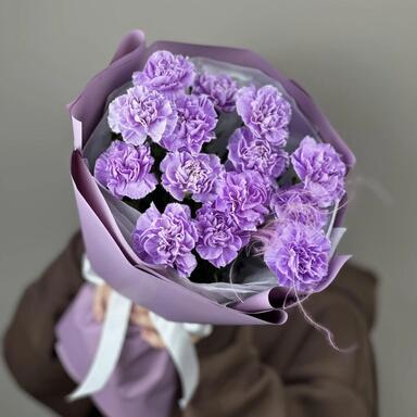 Диантусы Мун Аква 15шт
