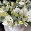 Цветы в коробке «Lily»