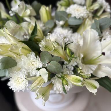 Цветы в коробке «Lily»