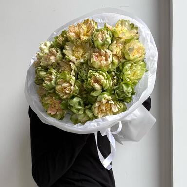 Премиум Розы "Veggie" 25шт