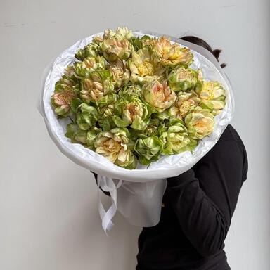 Премиум Розы "Veggie" 25шт
