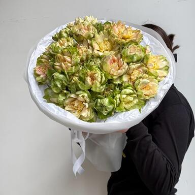 Премиум Розы "Veggie" 25шт