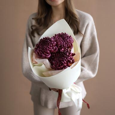 Хризантема Бигуди Wine 3шт