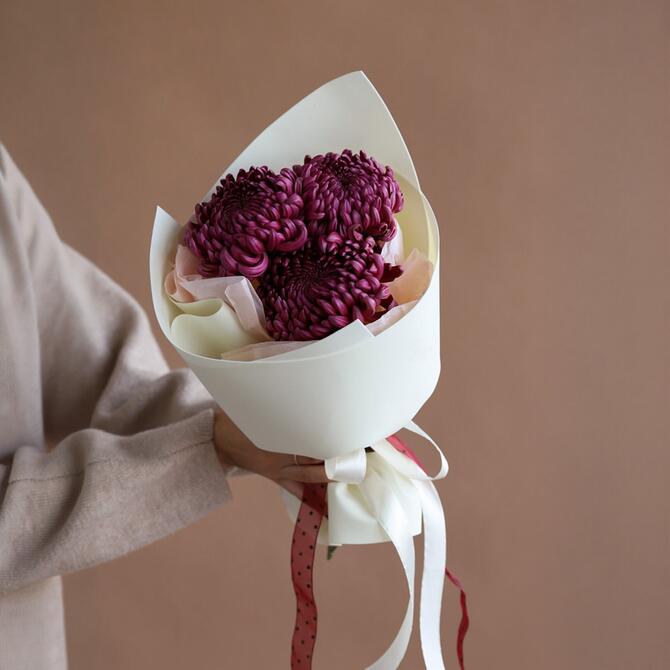 Хризантема Бигуди Wine 3шт