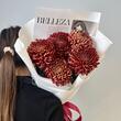 Хризантема Бигуди Brown 5шт