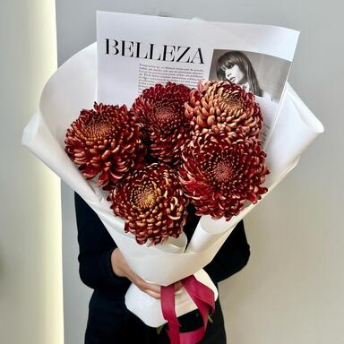 Хризантема Бигуди Brown 5шт