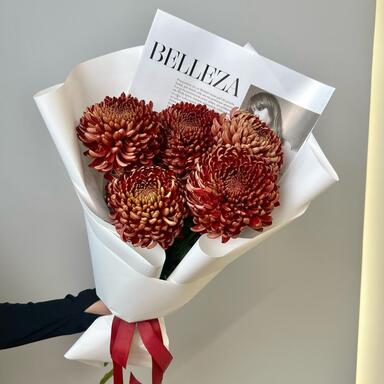 Хризантема Бигуди Brown 5шт