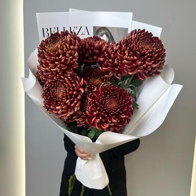 Хризантема Бигуди Brown 7шт