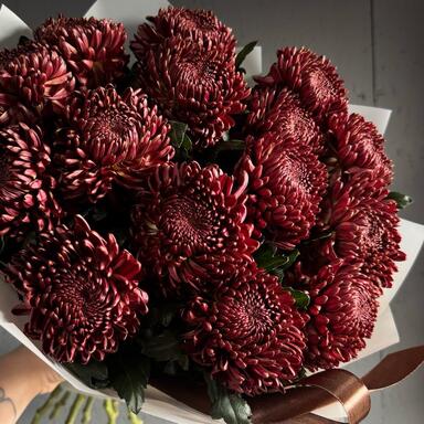 Хризантема Бигуди Brown 15шт