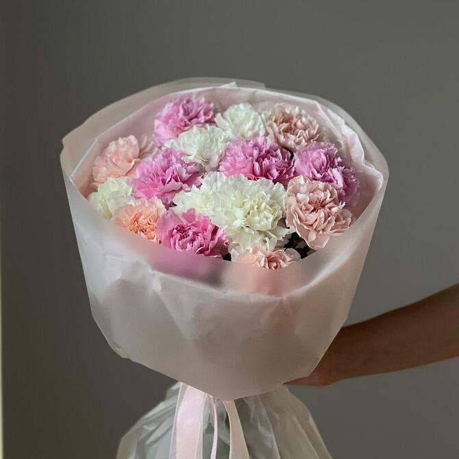 Нежные диантусы MIX 15шт