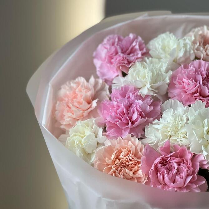 Нежные диантусы MIX 15шт