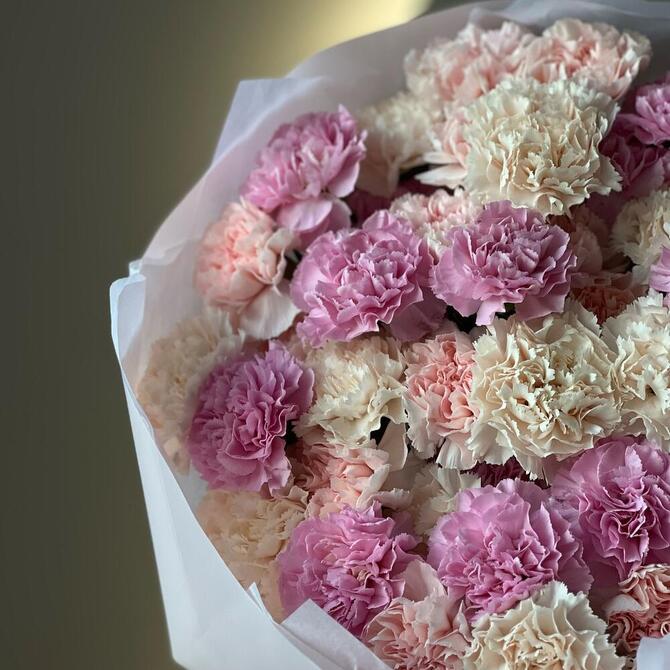 Нежные диантусы MIX 51шт