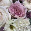 Букет "Peony Boom"