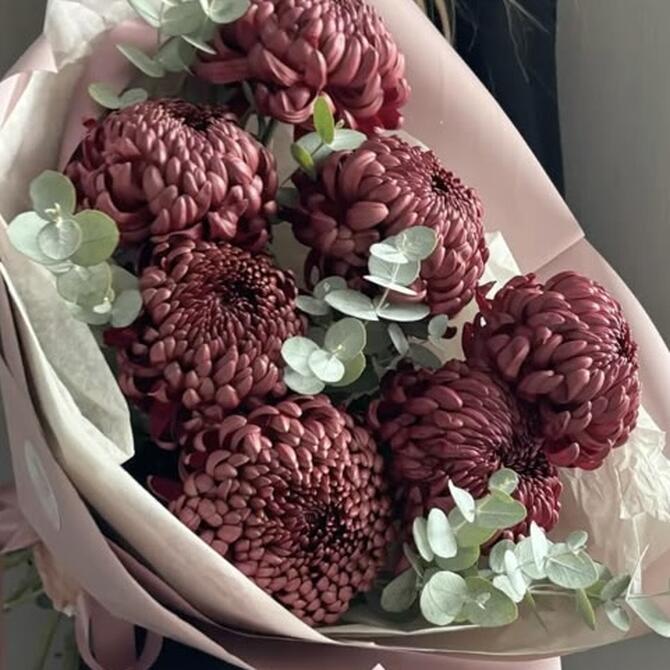 Хризантема Бигуди Brown 7шт с эвкалиптом 