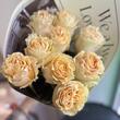 Пионовидные розы Cream Carpi Diem 9шт