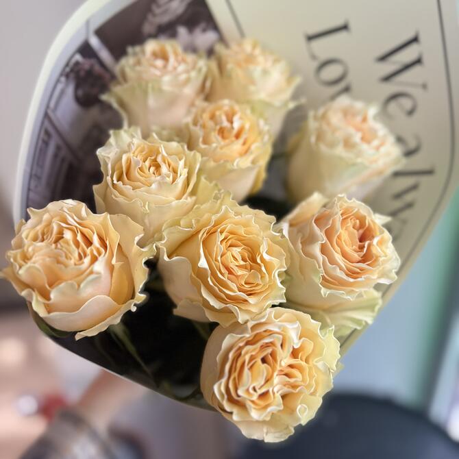 Пионовидные розы Cream Carpi Diem 9шт