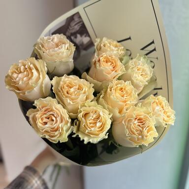 Пионовидные розы Cream Carpi Diem 11шт