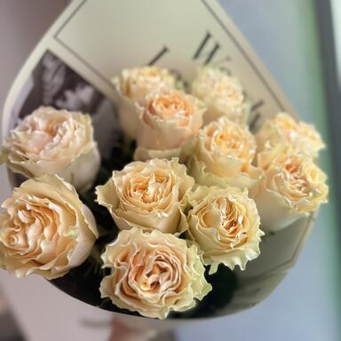 Пионовидные розы Cream Carpi Diem 11шт