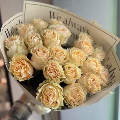 Пионовидные розы Cream Carpi Diem 21шт