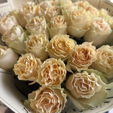 Пионовидные розы Cream Carpi Diem 35шт