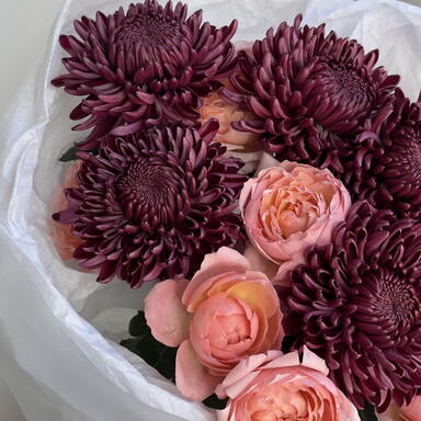 Букет из хризантем Бигуди и пионовидной Джульетты S