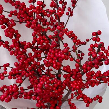 Монобукет красный илекс 5шт