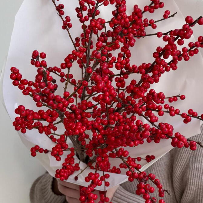 Монобукет красный илекс 5шт