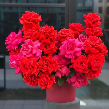 Романтичная композиция "Французские розы в коробке" PREMIUM