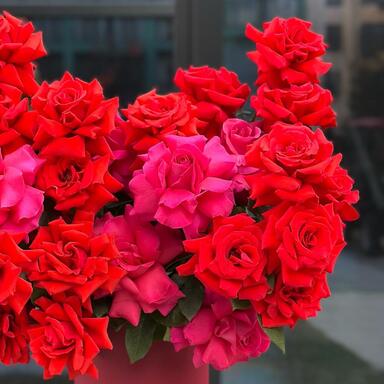 Романтичная композиция "Французские розы в коробке" PREMIUM