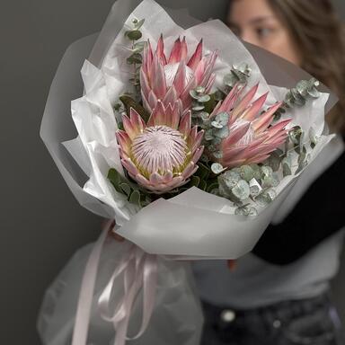 Экзотическая розовая протея 3шт
