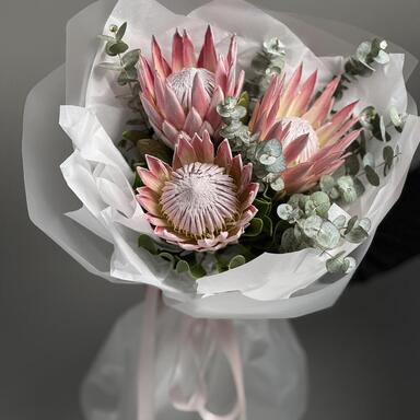Экзотическая розовая протея 3шт