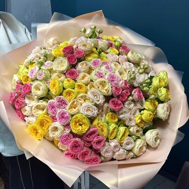 Кустовые пионовидные розы MIX 51шт