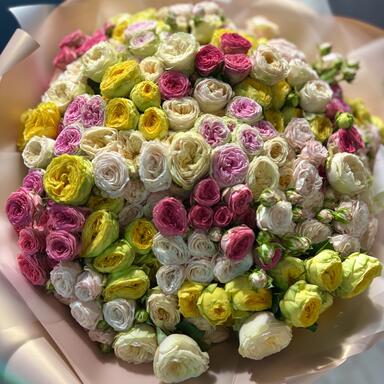 Кустовые пионовидные розы MIX 51шт