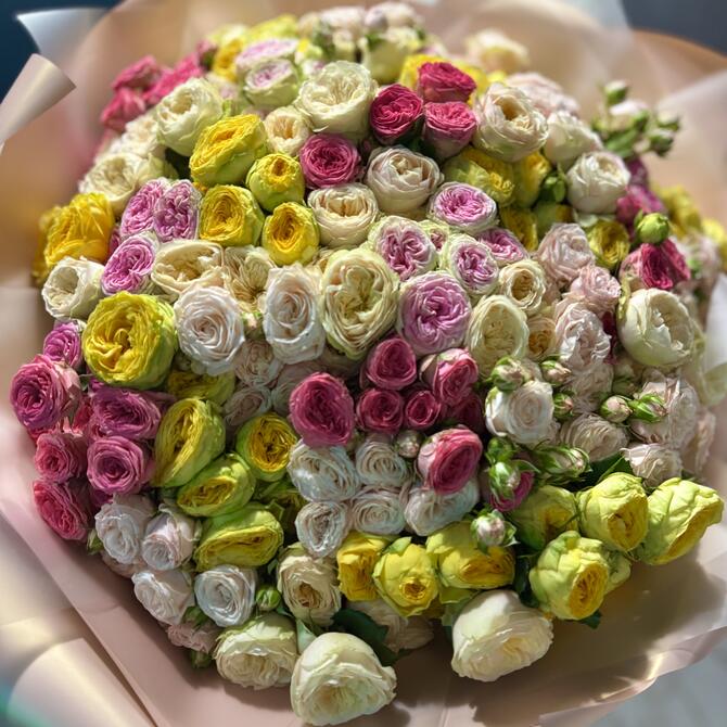 Кустовые пионовидные розы MIX 51шт