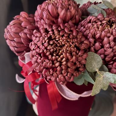 Хризантема Бигуди в коробке “Brown” 9шт