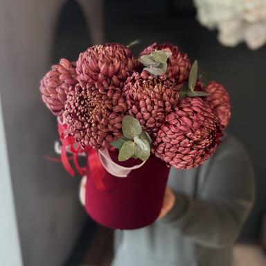 Хризантема Бигуди в коробке “Brown” 9шт