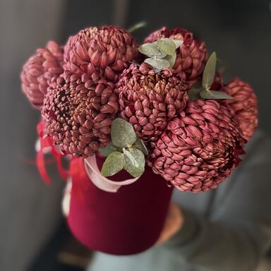 Хризантема Бигуди в коробке “Brown” 9шт