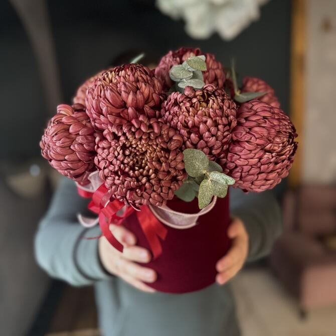 Хризантема Бигуди в коробке “Brown” 9шт