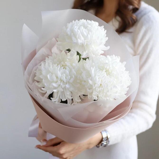 Белые одноголовые хризантемы 3шт